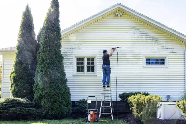 Best Affordable Pressure Washing  in Fannett, TX